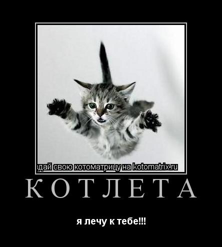 котлета я лечу к тебе!!!... Котоматрица: котлета я лечу к тебе!!!