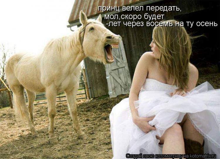 Котоматрица: принц велел передать, мол,скоро будет -лет через восемь на ту осень
