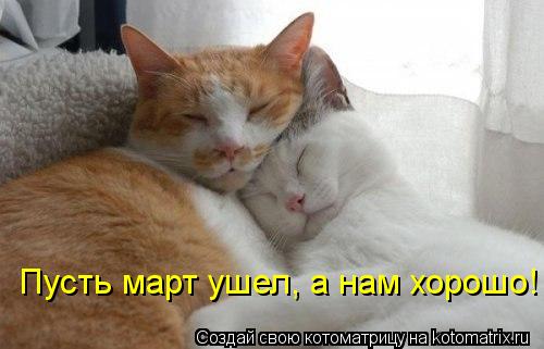 Котоматрица: Пусть март ушел, а нам хорошо!