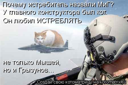 Котоматрица: Почему истребитель назвали МиГ? У главного конструктора был кот. Он любил ИСТРЕБЛЯТЬ не только Мышей,  но и Грызунов...