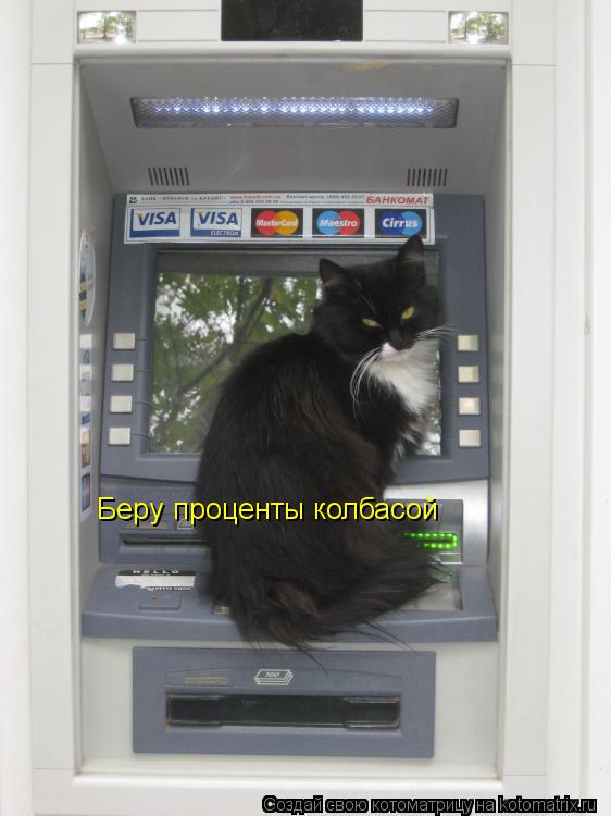 Котоматрица: Беру проценты колбасой