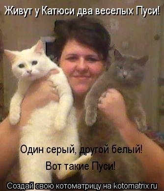 Котоматрица: Живут у Катюси два веселых Пуси! Один серый, другой белый! Вот такие Пуси!