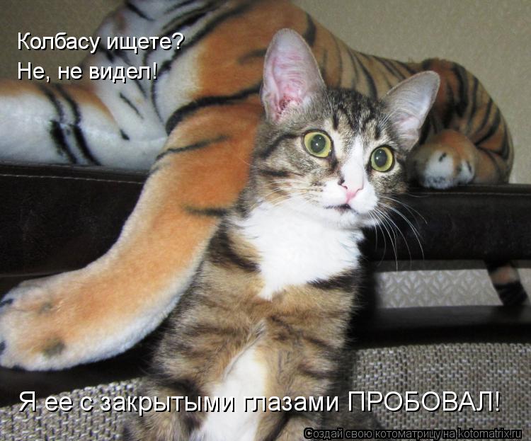 Колбасу ищете? Не, не видел! Я ее с закрытыми глазами ПРОБОВАЛ!... Котоматрица: Колбасу ищете? Не, не видел! Я ее с закрытыми глазами ПРОБОВАЛ!