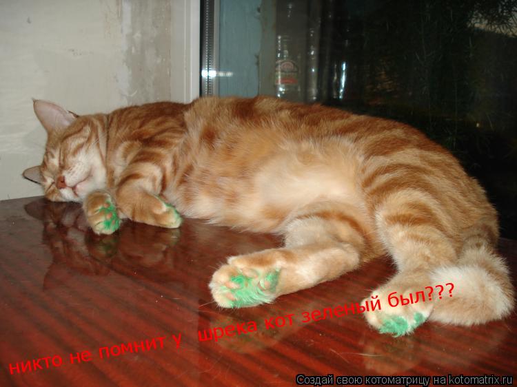 Котоматрица: никто не помнит у  шрека кот зеленый был???