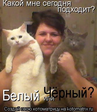 Котоматрица: Какой мне сегодня подходит? Белый или Чёрный?