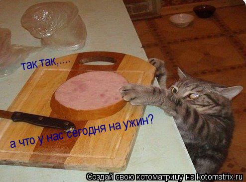 Котоматрица: так так,.... а что у нас сегодня на ужин?