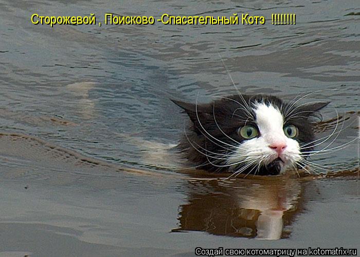 Котоматрица: Сторожевой , Поисково -Спасательный Котэ  !!!!!!!!