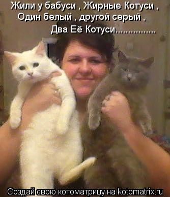 Котоматрица: Жили у бабуси , Жирные Котуси , Один белый , другой серый , Два Её Котуси................