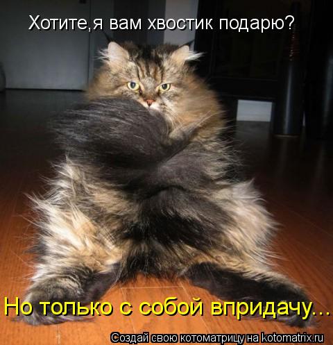 Котоматрица: Хотите,я вам хвостик подарю? Но только с собой впридачу...
