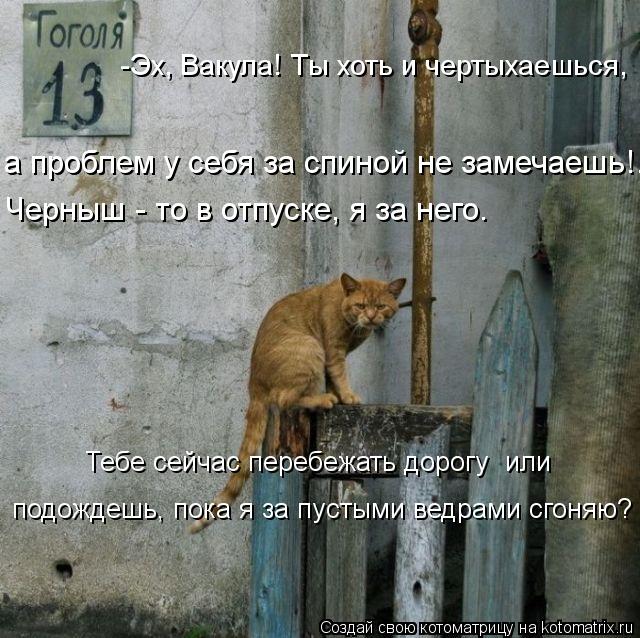 Котоматрица: -Эх, Вакула! Ты хоть и чертыхаешься,  а проблем у себя за спиной не замечаешь!.. Черныш - то в отпуске, я за него.  Тебе сейчас перебежать дорогу  