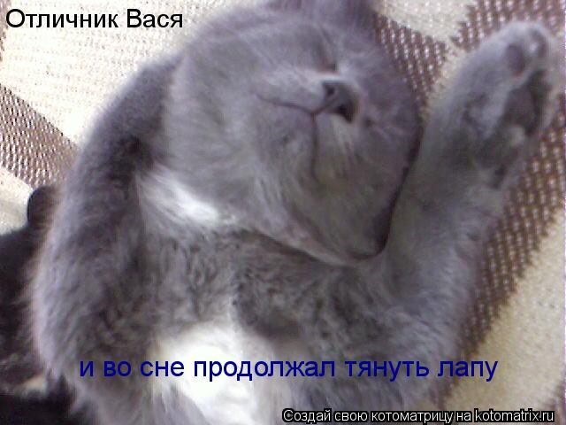 Котоматрица: Отличник Вася  и во сне продолжал тянуть лапу