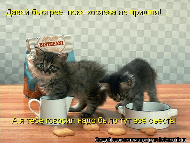 Котоматрица: Давай быстрее, пока хозяева не пришли!... А я тебе говорил надо было тут всё съесть!
