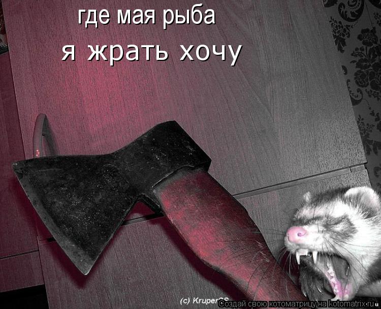 Котоматрица: где мая рыба я жрать хочу