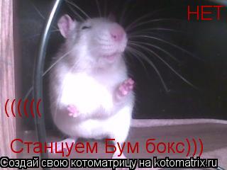 Котоматрица: Станцуем Бум бокс)))  НЕТ ((((((