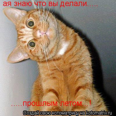 Котоматрица: ая знаю что вы делали..... .....прошлым летом...!