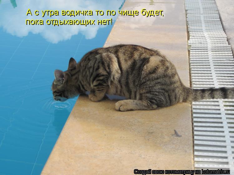 Котоматрица: А с утра водичка то по чище будет, пока отдыхающих нет!