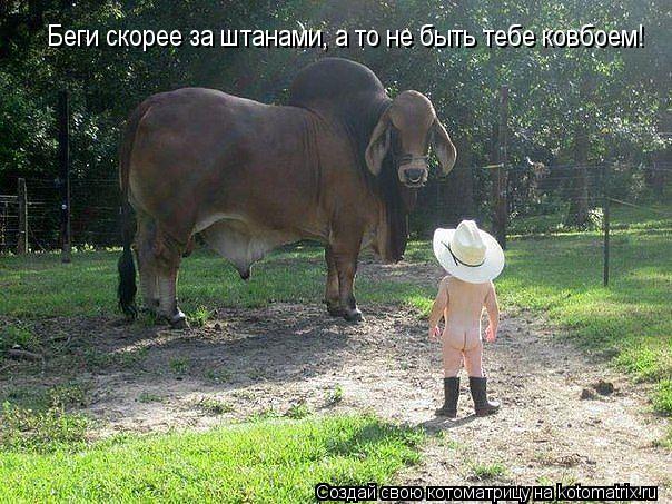 Котоматрица: Беги скорее за штанами, а то не быть тебе ковбоем!