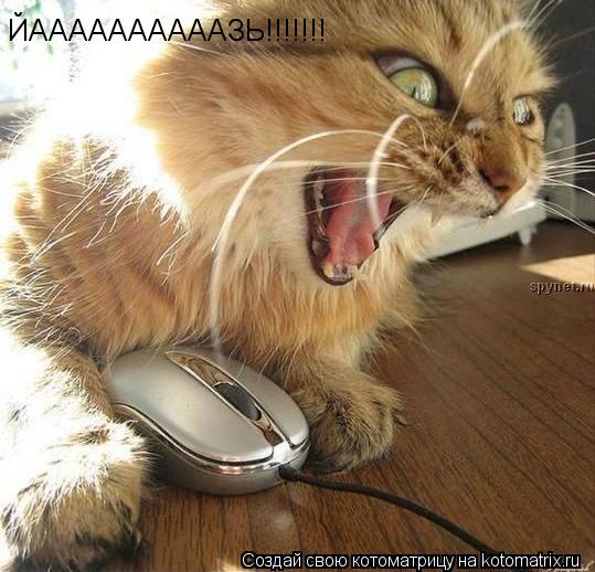 Котоматрица: ЙААААААААААЗЬ!!!!!!!