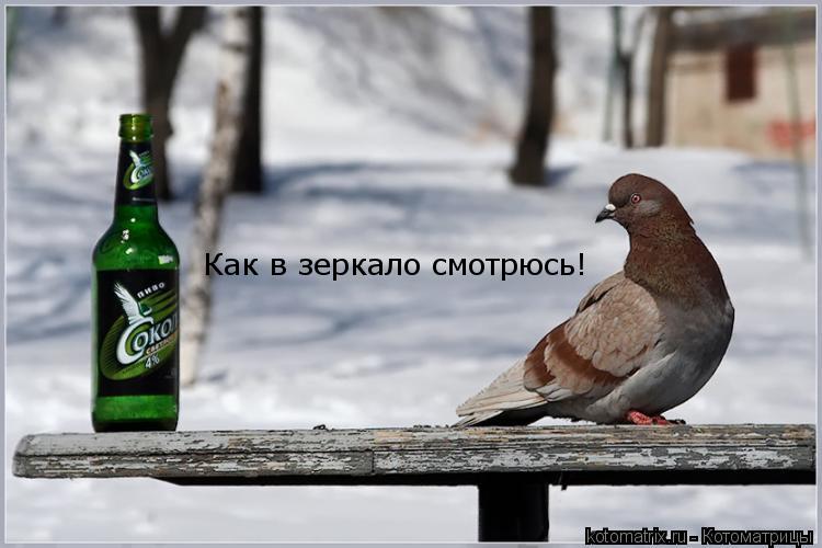 Котоматрица: Как в зеркало смотрюсь!
