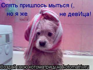 Котоматрица: Опять пришлось мыться (, не девИца! но я же
