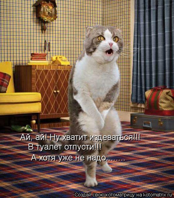 Котоматрица: Ай, ай! Ну хватит издеваться!!! В туалет отпусти!!! А хотя уже не надо........