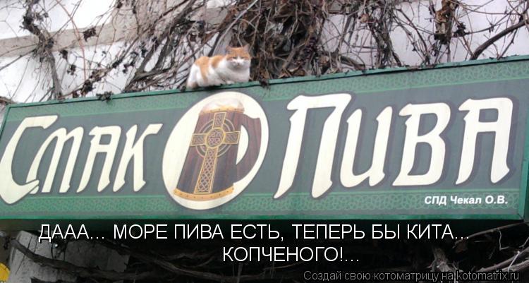 Котоматрица: КОПЧЕНОГО!... ДААА... МОРЕ ПИВА ЕСТЬ, ТЕПЕРЬ БЫ КИТА...