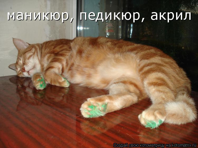 Котоматрица: маникюр, педикюр, акрил