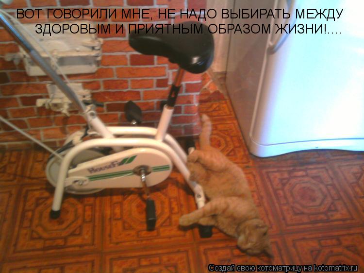 Котоматрица: ВОТ ГОВОРИЛИ МНЕ, НЕ НАДО ВЫБИРАТЬ МЕЖДУ ЗДОРОВЫМ И ПРИЯТНЫМ ОБРАЗОМ ЖИЗНИ!....