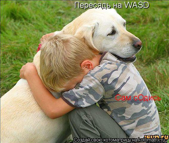 Котоматрица: Пересядь на WASD Сам сОдись
