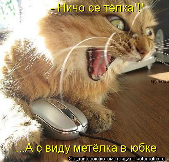 Котоматрица: - Ничо се тёлка!!! ...А с виду метёлка в юбке