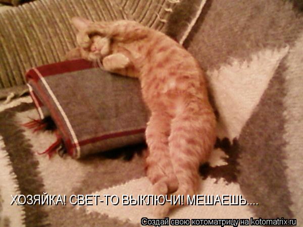 Котоматрица: ХОЗЯЙКА! СВЕТ-ТО ВЫКЛЮЧИ! МЕШАЕШЬ....