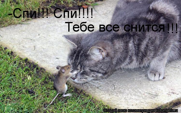 Котоматрица: -Спи!!! Спи!!!! Тебе все снится !!!