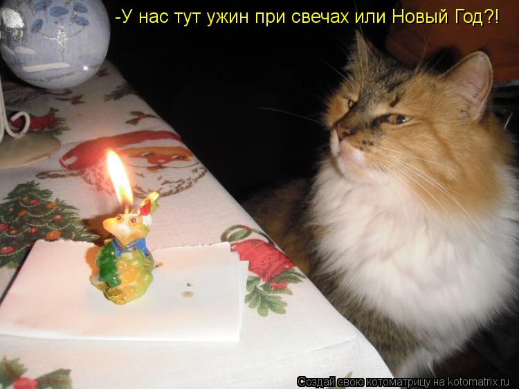 Котоматрица: -У нас тут ужин при свечах или Новый Год?!