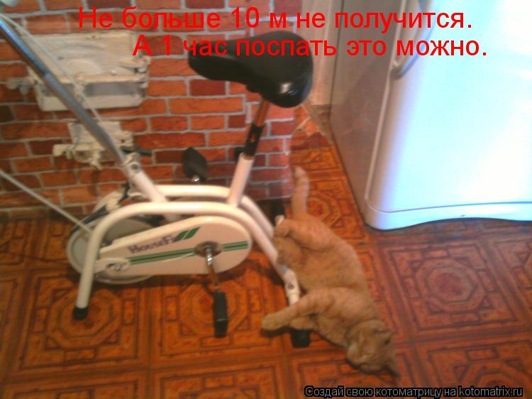 Котоматрица: Не больше 10 м не получится. А 1 час поспать это можно.