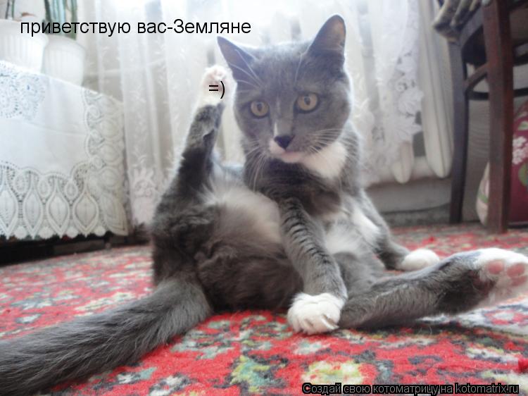 Котоматрица: приветствую вас-Земляне =)