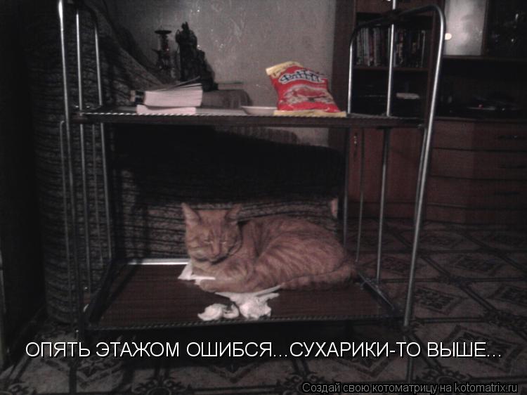 Котоматрица: ОПЯТЬ ЭТАЖОМ ОШИБСЯ...СУХАРИКИ-ТО ВЫШЕ...