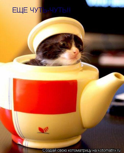 Котоматрица: ЕЩЕ ЧУТЬ-ЧУТЬ!!