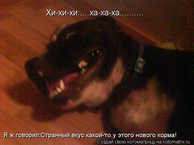 Котоматрица: Хи-хи-хи.....ха-ха-ха.......... Я ж говорил:Странный вкус какой-то,у этого нового корма!