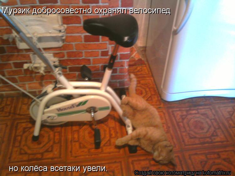 Котоматрица: Мурзик добросовестно охранял велосипед но колёса всетаки увели.
