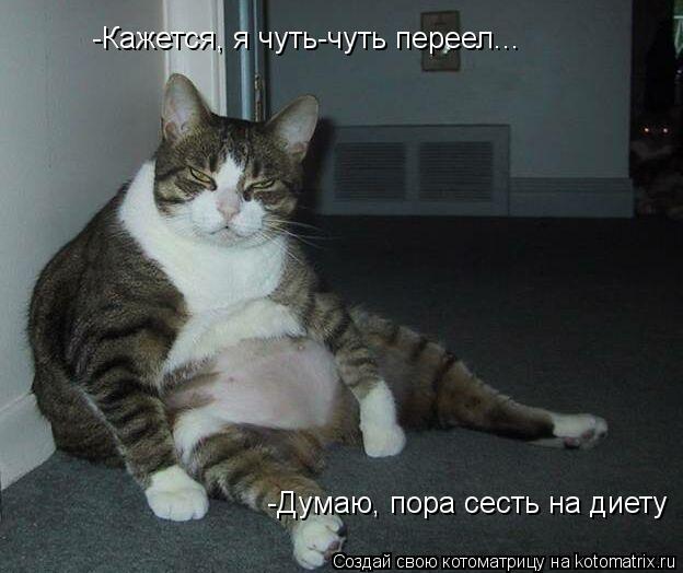 Котоматрица: -Кажется, я чуть-чуть переел...  -Думаю, пора сесть на диету