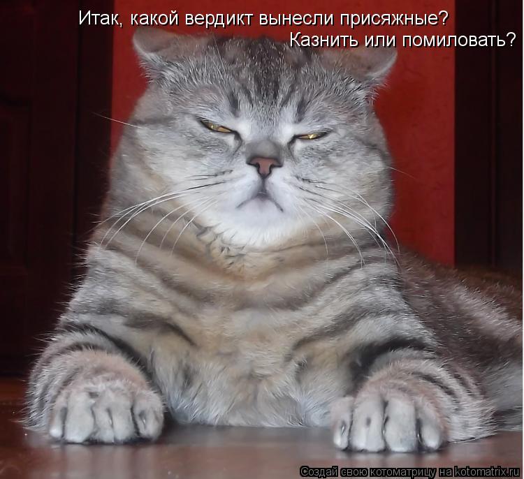 Котоматрица: Итак, какой вердикт вынесли присяжные? Казнить или помиловать?