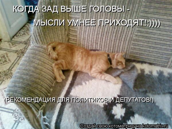 Котоматрица: МЫСЛИ УМНЕЕ ПРИХОДЯТ!:)))) КОГДА ЗАД ВЫШЕ ГОЛОВЫ -  (РЕКОМЕНДАЦИЯ ДЛЯ ПОЛИТИКОВ И ДЕПУТАТОВ!)