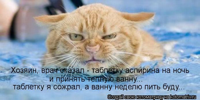 Котоматрица: Хозяин, врач сказал - таблетку аспирина на ночь и принять теплую ванну... таблетку я сожрал, а ванну неделю пить буду...