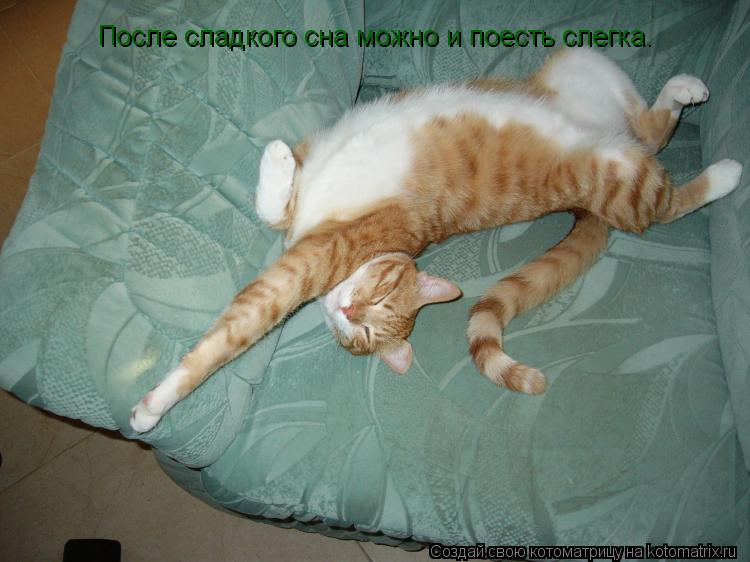 Котоматрица: После сладкого сна можно и поесть слегка.