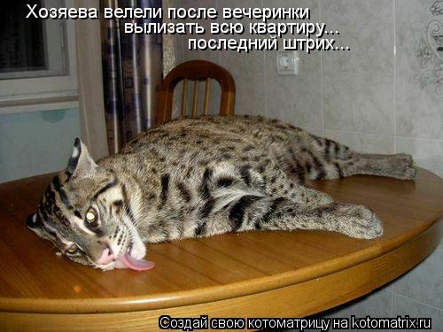 Котоматрица: Хозяева велели после вечеринки вылизать всю квартиру... последний штрих...