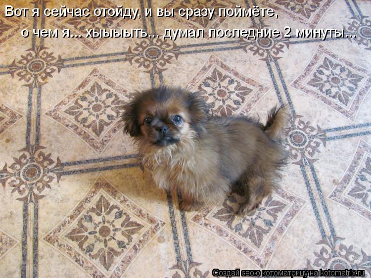 Котоматрица: Вот я сейчас отойду, и вы сразу поймёте, о чем я... хыыыыть... думал последние 2 минуты...