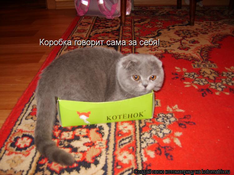 Котоматрица: Коробка говорит сама за себя!