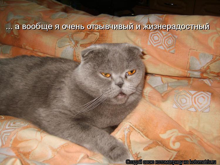 Котоматрица: ... а вообще я очень отзывчивый и жизнерадостный