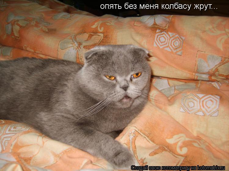 Котоматрица: опять без меня колбасу жрут...