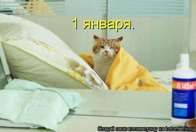 Котоматрица: 1 января.